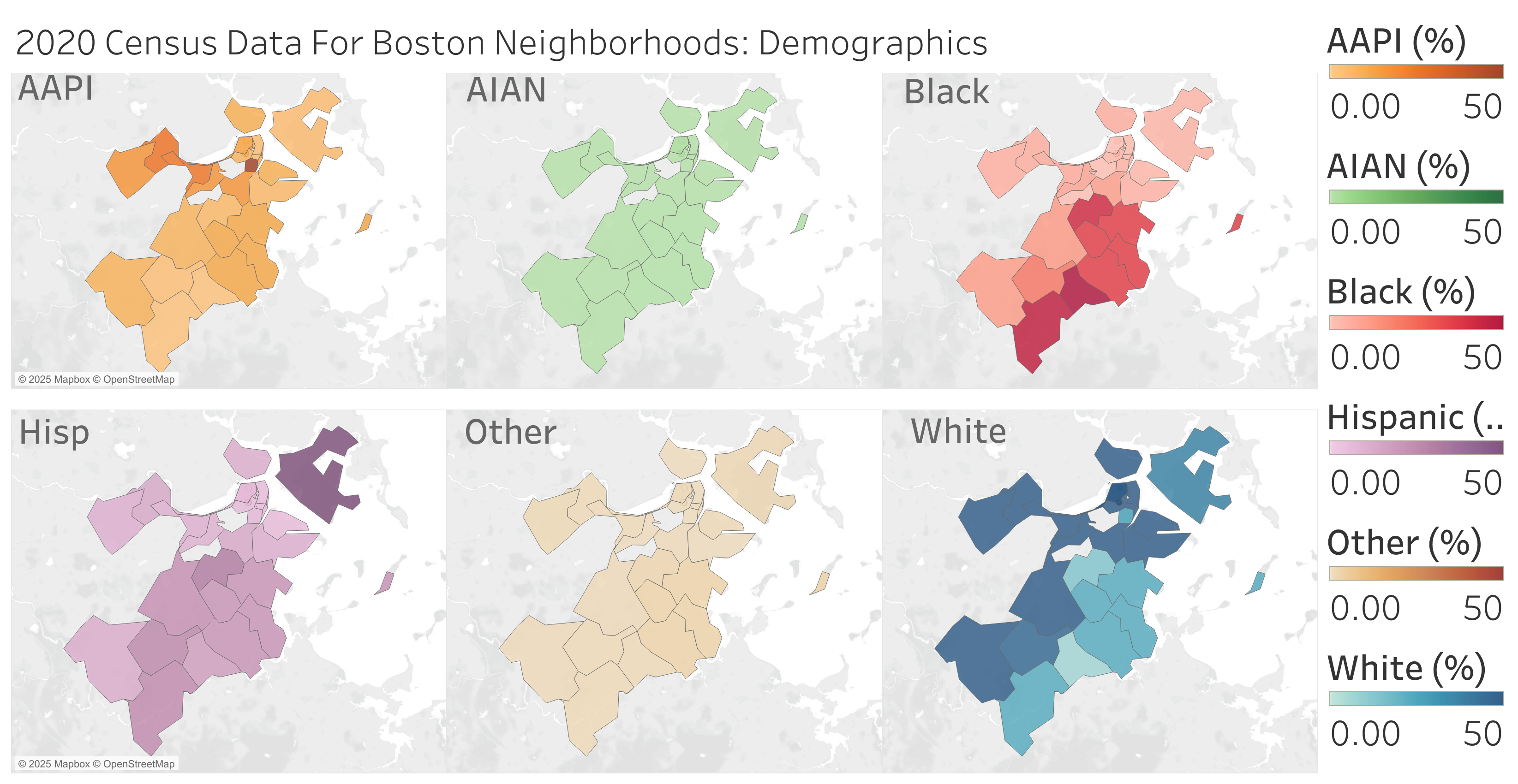 Census demographic data by neighborhood
